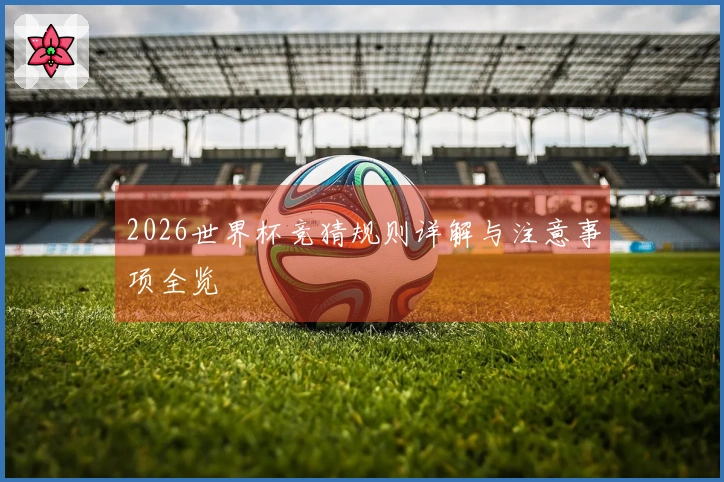 2026世界杯竞猜规则详解与注意事项全览