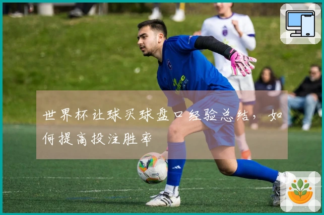 世界杯让球买球盘口经验总结，如何提高投注胜率