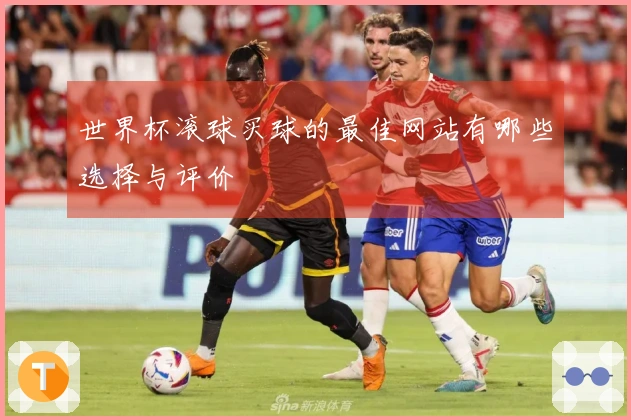世界杯滚球买球的最佳网站有哪些选择与评价