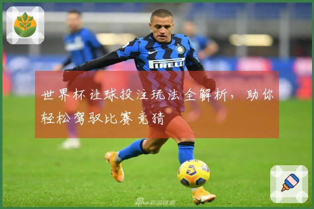 世界杯让球投注玩法全解析，助你轻松驾驭比赛竞猜