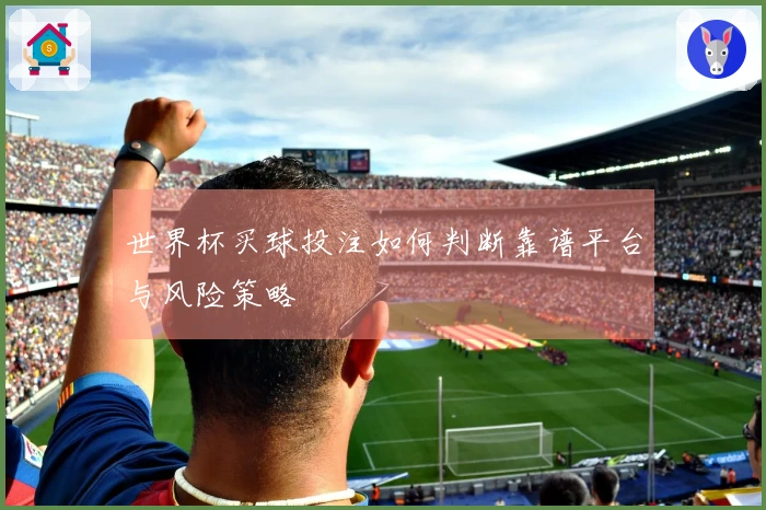 世界杯买球投注如何判断靠谱平台与风险策略