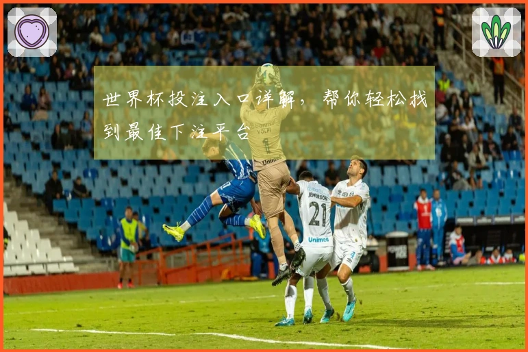世界杯投注入口详解，帮你轻松找到最佳下注平台