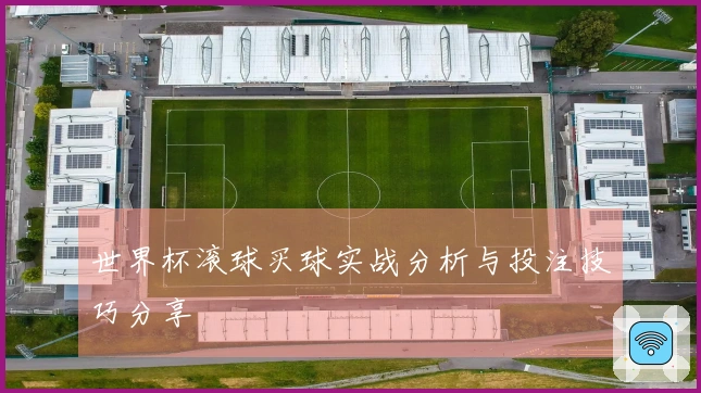 世界杯滚球买球实战分析与投注技巧分享