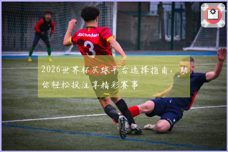 2026世界杯买球平台选择指南,助你轻松投注享精彩赛事